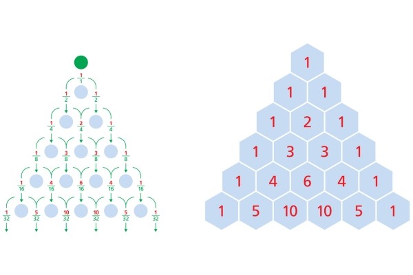 Finite Math: What to Expect